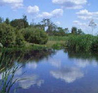 Yan Yean Reservoir Park - Accommodation in Surfers Paradise