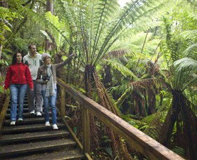 Otway Fly Treetop Adventures - Accommodation in Surfers Paradise 0