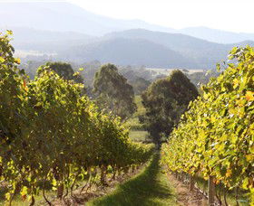 Pizzini Wines King Valley - Accommodation in Surfers Paradise 3