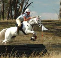 National Equestrian Centre - Kerrabee - Accommodation in Surfers Paradise