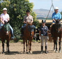 Forest Park Riding and Equitation School - Accommodation in Surfers Paradise