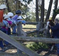 Harlow Park Horse Riding - Accommodation in Surfers Paradise