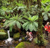 Baw Baw National Park - Accommodation in Surfers Paradise