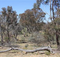 Remembrance Nature Park - Accommodation in Surfers Paradise