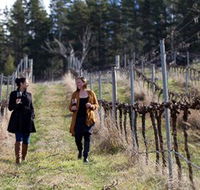 Mount Majura Vineyard - Accommodation in Surfers Paradise