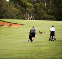 Federal Golf Club - Accommodation in Surfers Paradise