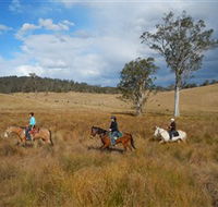 Chapman Valley Horse Riding - Accommodation in Surfers Paradise
