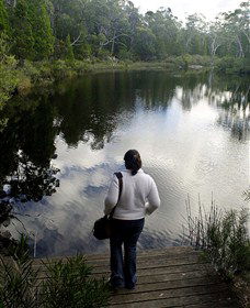 Boonoo Boonoo Falls National Park - Accommodation in Surfers Paradise 1