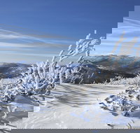 Rock Creek snowshoe track - Accommodation in Surfers Paradise