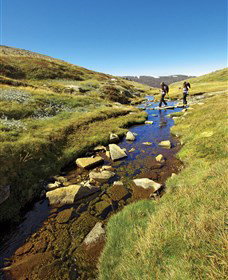 Australian Alps Walking Track - Accommodation in Surfers Paradise 0