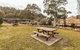 Thredbo River Picnic Area - thumb 2