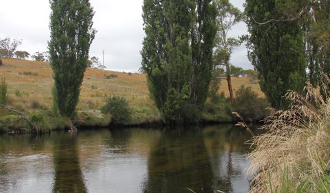 Thredbo River Picnic Area - Accommodation in Surfers Paradise 3