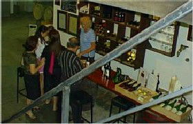 John Kosovich Wines - Accommodation in Surfers Paradise 1