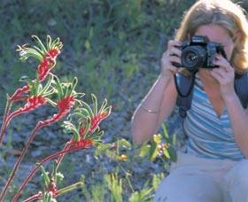 Kalamunda National Park - Accommodation in Surfers Paradise 1
