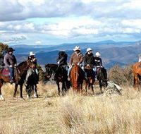 Snowy Wilderness - Accommodation in Surfers Paradise