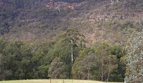 Bangadilly National Park - Accommodation in Surfers Paradise 0