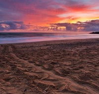 Mon Repos Beach - Accommodation in Surfers Paradise