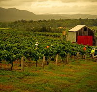 Around Hermitage Wine and Food Trail Hunter Valley - Accommodation in Surfers Paradise