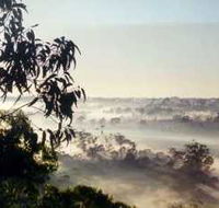 Bents Basin State Conservation Area - Accommodation in Surfers Paradise