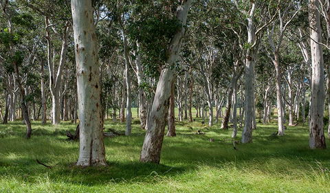 Coast To The Highlands Scenic Drive â€“ Kangaroo Valley - Accommodation in Surfers Paradise 1