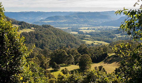 Coast To The Highlands Scenic Drive â€“ Kangaroo Valley - Accommodation in Surfers Paradise 3