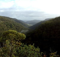 Nattai Gorge Lookout - Accommodation in Surfers Paradise
