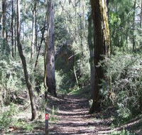 Box Vale Mine Walking Track and Lookout - Accommodation in Surfers Paradise