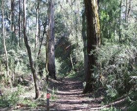 Box Vale Mine Walking Track And Lookout - Accommodation in Surfers Paradise 0