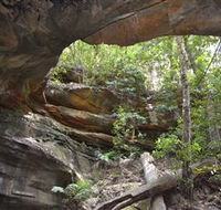 Cave Creek Walking Track - Accommodation in Surfers Paradise