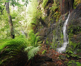 Fairy Bower Falls - Accommodation in Surfers Paradise 2