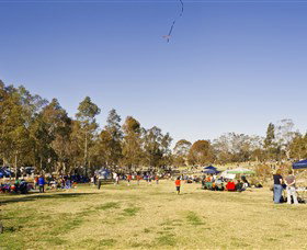 Lizard Log - Accommodation in Surfers Paradise 1