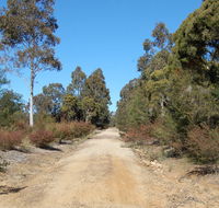 Werakata National Park - Accommodation in Surfers Paradise
