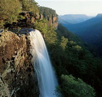 Fitzroy Falls - Accommodation in Surfers Paradise