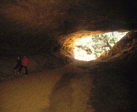 Stockyard Gully National Park - Accommodation in Surfers Paradise 3