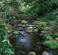 Macquarie Pass National Park - Accommodation in Surfers Paradise