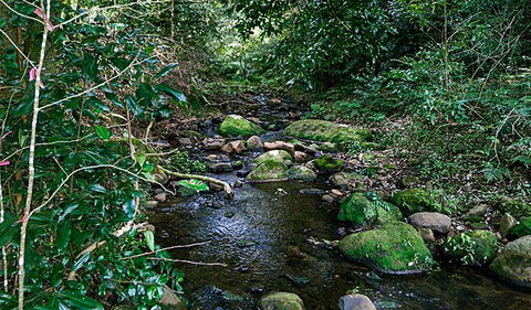 Macquarie Pass National Park - Accommodation in Surfers Paradise 0