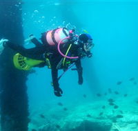 Shellharbour Scuba  Photography Centre - Accommodation in Surfers Paradise
