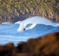 Killalea Beach - Accommodation in Surfers Paradise