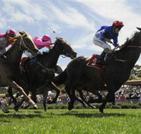 Moruya Racecourse - Accommodation in Surfers Paradise