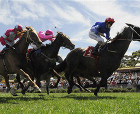 Moruya Racecourse - Accommodation in Surfers Paradise 0
