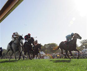 Moruya Racecourse - Accommodation in Surfers Paradise 1