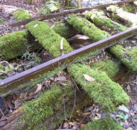 Wootton Historical Railway Walk - Accommodation in Surfers Paradise