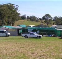 Tinonee Orchid Nursery - Accommodation in Surfers Paradise