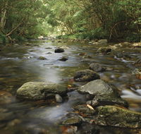 Plateau Circuit loop trail - Accommodation in Surfers Paradise