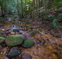 Starrs Creek picnic area - Accommodation in Surfers Paradise
