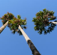 Bindarri National Park - Accommodation in Surfers Paradise