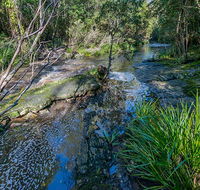 Dawson River walking track - Accommodation in Surfers Paradise