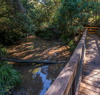 Ms Kellys walking track - Accommodation in Surfers Paradise