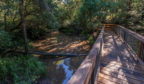 Ms Kellys Walking Track - Accommodation in Surfers Paradise 0