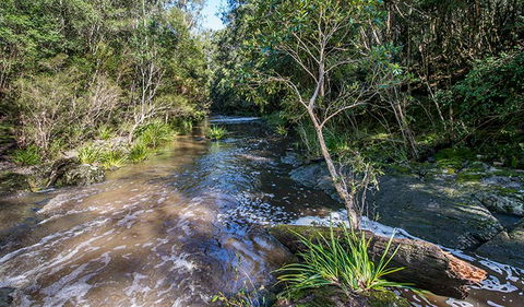 Brimbin Picnic Area - Accommodation in Surfers Paradise 2